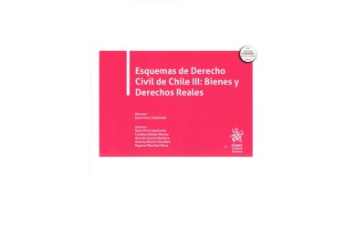 ESQUEMAS DE DERECHO CIVIL DE CHILE III: BIENES Y DERECHOS REALES
