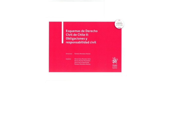 ESQUEMAS DE DERECHO CIVIL DE CHILE II: OBLIGACIONES Y RESPONSABILIDAD CIVIL