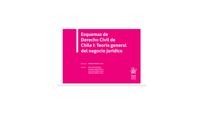 ESQUEMAS DE DERECHO CIVIL DE CHILE I: TEORÍA GENERAL DEL NEGOCIO JURÍDICO