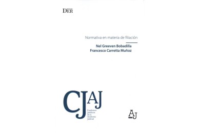 NORMATIVA EN MATERIA DE FILIACIÓN