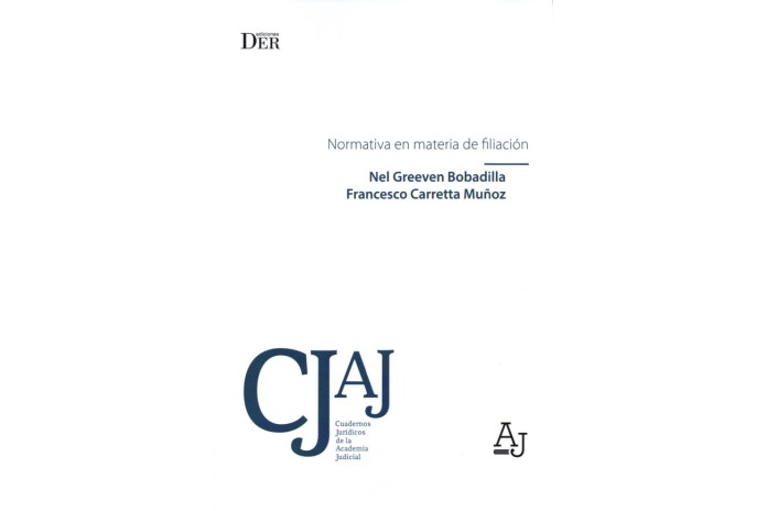 NORMATIVA EN MATERIA DE FILIACIÓN