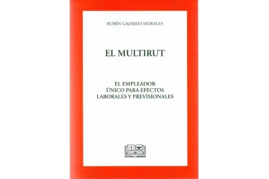 EL MULTIRUT - EL EMPLEADOR ÚNICO PARA EFECTOS LABORALES PREVISIONALES