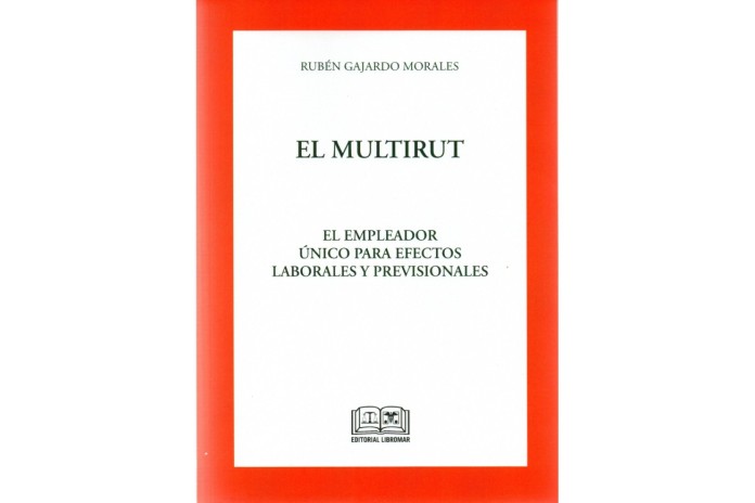 EL MULTIRUT - EL EMPLEADOR ÚNICO PARA EFECTOS LABORALES PREVISIONALES