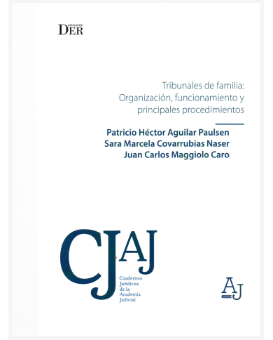TRIBUNALES DE FAMILIA: ORGANIZACIÓN, FUNCIONAMIENTO Y PRINCIPALES PROCEDIMIENTOS
