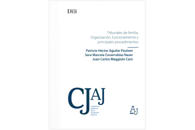 TRIBUNALES DE FAMILIA: ORGANIZACIÓN, FUNCIONAMIENTO Y PRINCIPALES PROCEDIMIENTOS