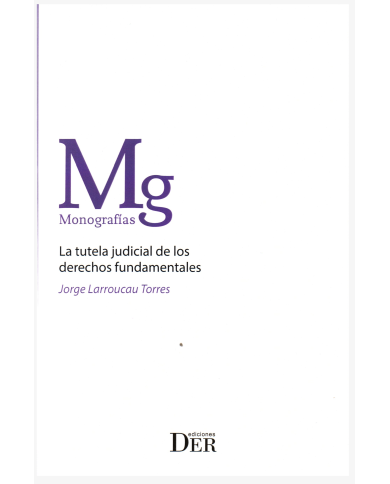 LA TUTELA JUDICIAL DE LOS DERECHOS FUNDAMENTALES