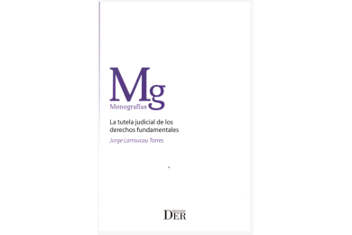 LA TUTELA JUDICIAL DE LOS DERECHOS FUNDAMENTALES