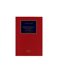 DERECHO PENAL - PARTE GENERAL