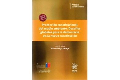 PROTECCIÓN CONSTITUCIONAL DEL MEDIO AMBIENTE: DESAFÍOS GLOBALES PARA LA DEMOCRACIA EN LA NUEVA CONSTITUCIÓN