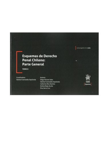 ESQUEMAS DE DERECHO PENAL CHILENO: PARTE GENERAL - TOMO II