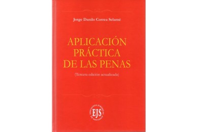 APLICACIÓN PRÁCTICA DE LAS PENAS