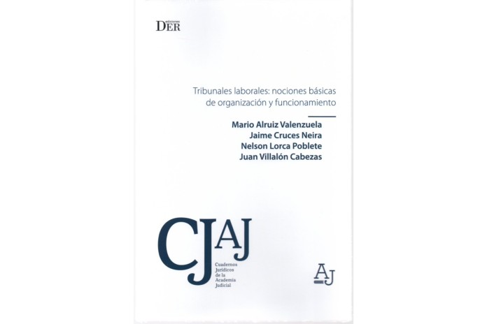 TRIBUNALES LABORALES: NOCIONES BÁSICAS DE ORGANIZACIÓN Y FUNCIONAMIENTO