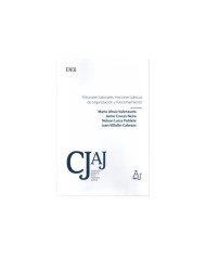 TRIBUNALES LABORALES: NOCIONES BÁSICAS DE ORGANIZACIÓN Y FUNCIONAMIENTO