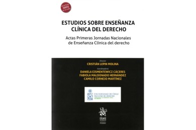 ESTUDIOS SOBRE ENSEÑANZA CLÍNICA DEL DERECHO - ACTAS PRIMERAS JORNADAS NACIONALES DE ENSEÑANZA CLÍNICA DEL DERECHO