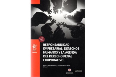 RESPONSABILIDAD EMPRESARIAL, DERECHOS HUMANOS Y LA AGENDA DEL DERECHO PENAL CORPORATIVO