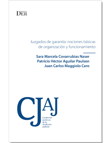 JUZGADOS DE GARANTÍA: NOCIONES BÁSICAS DE ORGANIZACIÓN Y FUNCIONAMIENTO