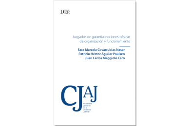 JUZGADOS DE GARANTÍA: NOCIONES BÁSICAS DE ORGANIZACIÓN Y FUNCIONAMIENTO