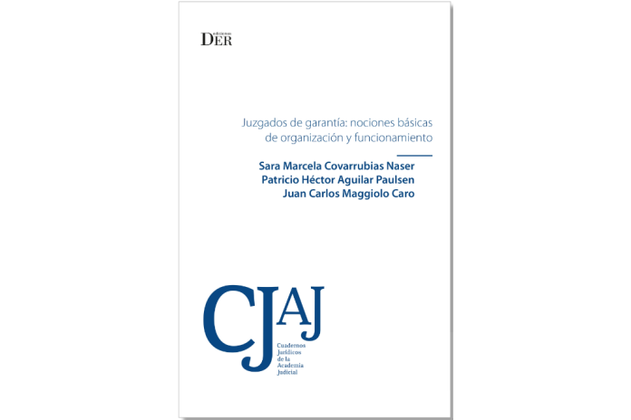 JUZGADOS DE GARANTÍA: NOCIONES BÁSICAS DE ORGANIZACIÓN Y FUNCIONAMIENTO