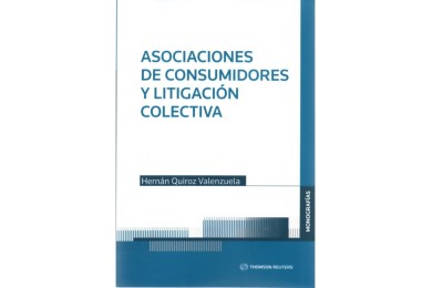 ASOCIACIONES DE CONSUMIDORES Y LITIGACIÓN COLECTIVA