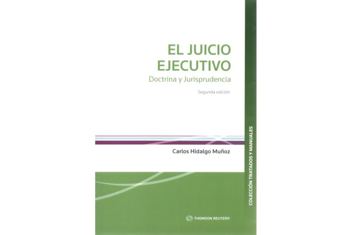 EL JUICIO EJECUTIVO - DOCTRINA Y JURISPRUDENCIA (2ª EDICIÓN)