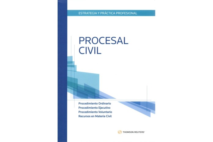 ESTRATEGIA Y PRÁCTICA PROFESIONAL - PROCESAL CIVIL (ORDINARIO, EJECUTIVO, VOLUNTARIO, RECURSOS)