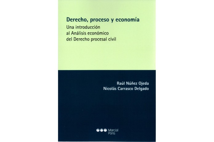 DERECHO, PROCESO Y ECONOMÍA - UNA INTRODUCCIÓN AL ANÁLISIS ECONÓMICO DEL DERECHO PROCESAL CIVIL