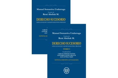 DERECHO SUCESORIO (9ª Edición)