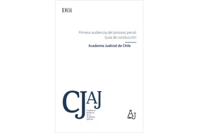 PRIMERA AUDIENCIA DEL PROCESO PENAL: GUÍA DE CONDUCCIÓN