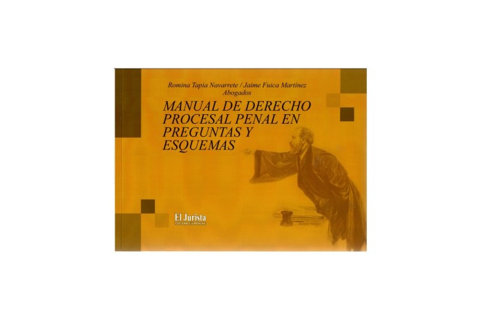 MANUAL DE DERECHO PROCESAL PENAL EN PREGUNTAS Y ESQUEMAS