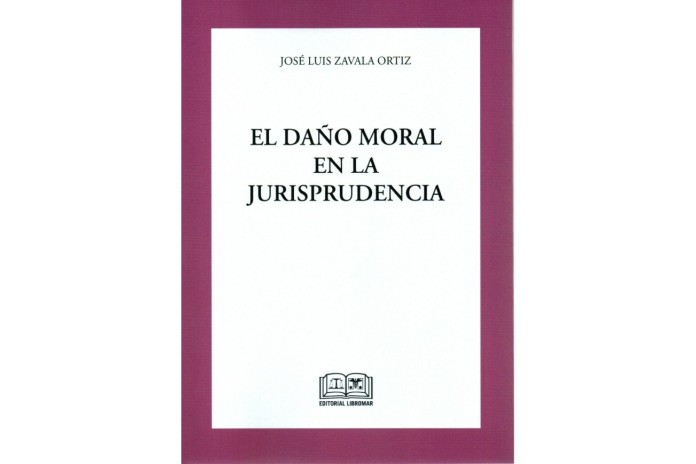EL DAÑO MORAL EN LA JURISPRUDENCIA