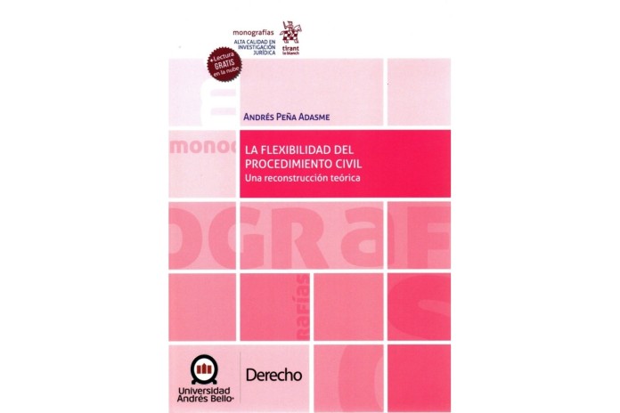 LA FLEXIBILIDAD DEL PROCEDIMIENTO CIVIL - UNA RECONSTRUCCIÓN TEÓRICA