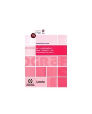 LA FLEXIBILIDAD DEL PROCEDIMIENTO CIVIL - UNA RECONSTRUCCIÓN TEÓRICA