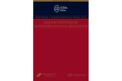 REVISTA DOCTRINA Y JURISPRUDENCIA PENAL  N°12. ALGUNAS CUESTIONES DE RESPONSABILIDAD PENAL ADOLESCENTE