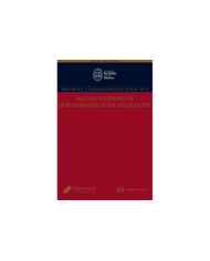 REVISTA DOCTRINA Y JURISPRUDENCIA PENAL  N°12. ALGUNAS CUESTIONES DE RESPONSABILIDAD PENAL ADOLESCENTE