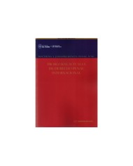 REVISTA DOCTRINA Y JURISPRUDENCIA PENAL N°48 - PROBLEMAS ACTUALES DE DERECHO PENAL INTERNACIONAL