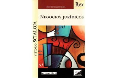 NEGOCIOS JURÍDICOS