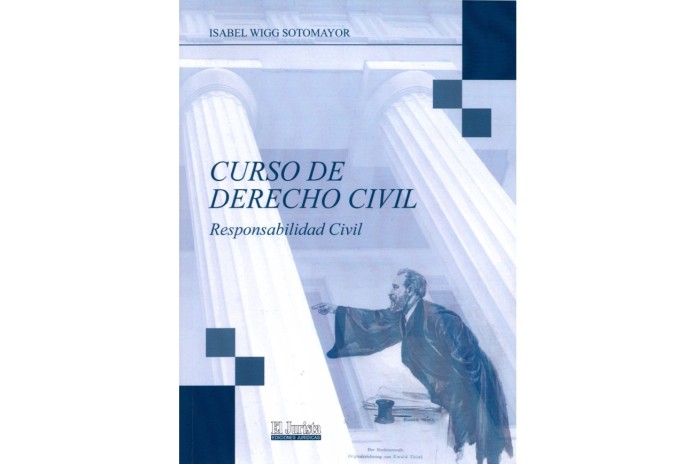 CURSO DE DERECHO CIVIL - RESPONSABILIDAD CIVIL