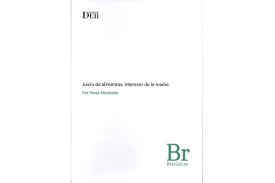 JUICIO DE ALIMENTOS: INTERESES DE LA MADRE