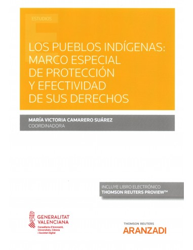 LOS PUEBLOS INDÍGENAS: MARCO ESPECIAL DE PROTECCIÓN Y EFECTIVIDAD DE SUS DERECHOS