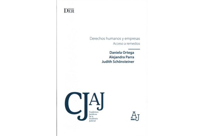 DERECHOS HUMANOS Y EMPRESAS - ACCESO A REMEDIOS