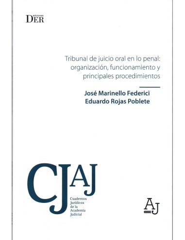 TRIBUNAL DE JUICIO ORAL EN LO PENAL: ORGANIZACIÓN, FUNCIONAMIENTO Y PRINCIPALES PROCEDIMIENTOS