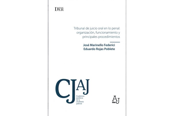 TRIBUNAL DE JUICIO ORAL EN LO PENAL: ORGANIZACIÓN, FUNCIONAMIENTO Y PRINCIPALES PROCEDIMIENTOS