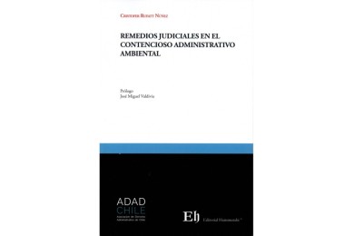REMEDIOS JUDICIALES EN EL CONTENCIOSO ADMINISTRATIVO AMBIENTAL