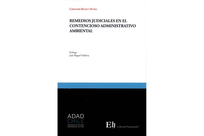 REMEDIOS JUDICIALES EN EL CONTENCIOSO ADMINISTRATIVO AMBIENTAL