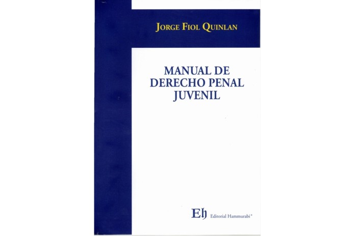 MANUAL DE DERECHO PENAL JUVENIL