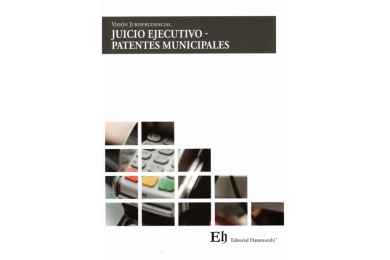 VISIÓN JURISPRUDENCIAL JUICIO EJECUTIVO – PATENTES MUNICIPALES