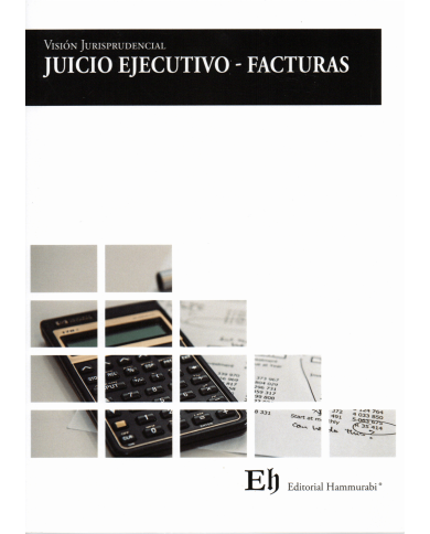 VISIÓN JURISPRUDENCIAL JUICIO EJECUTIVO – FACTURAS