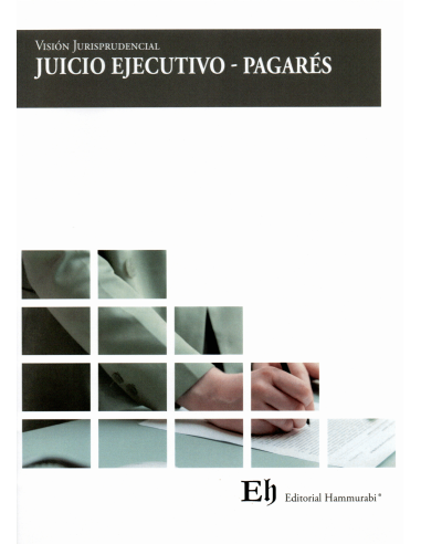 VISIÓN JURISPRUDENCIAL JUICIO EJECUTIVO – PAGARÉS
