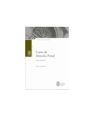 CURSO DE DERECHO PENAL - PARTE GENERAL