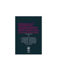 RESPONSABILIDAD CIVIL EXTRACONTRACTUAL: INSTRUMENTOS DE DERECHO COMPARADO, PROYECTOS DE REFORMA Y DERECHO CHILENO